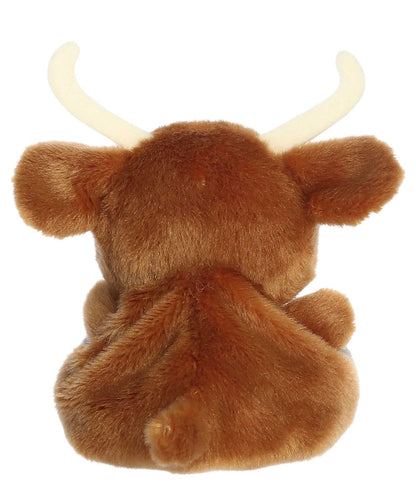 Aurora Landon Longhorn