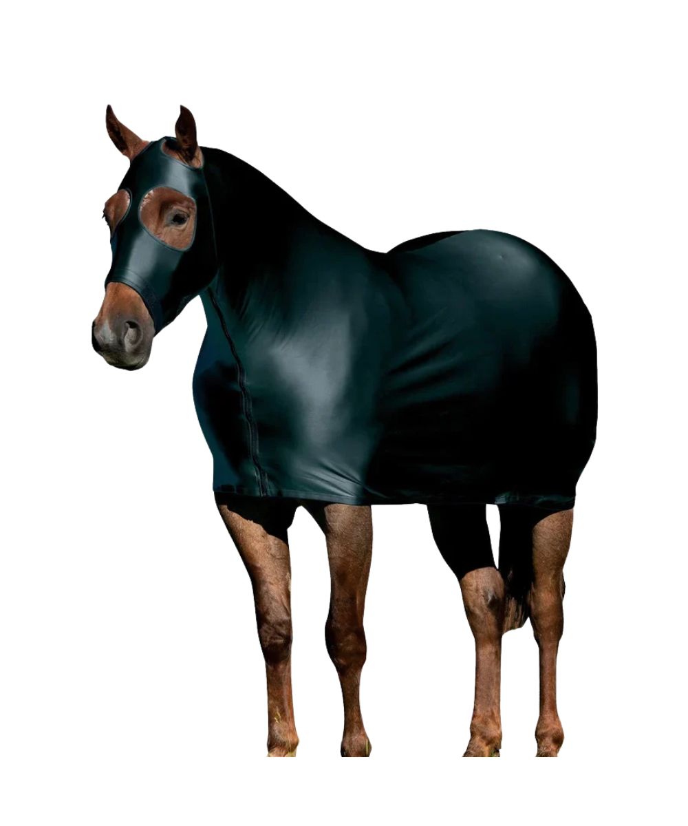A horse wearing a glossy black body covering and matching face mask, shown against a plain white background.