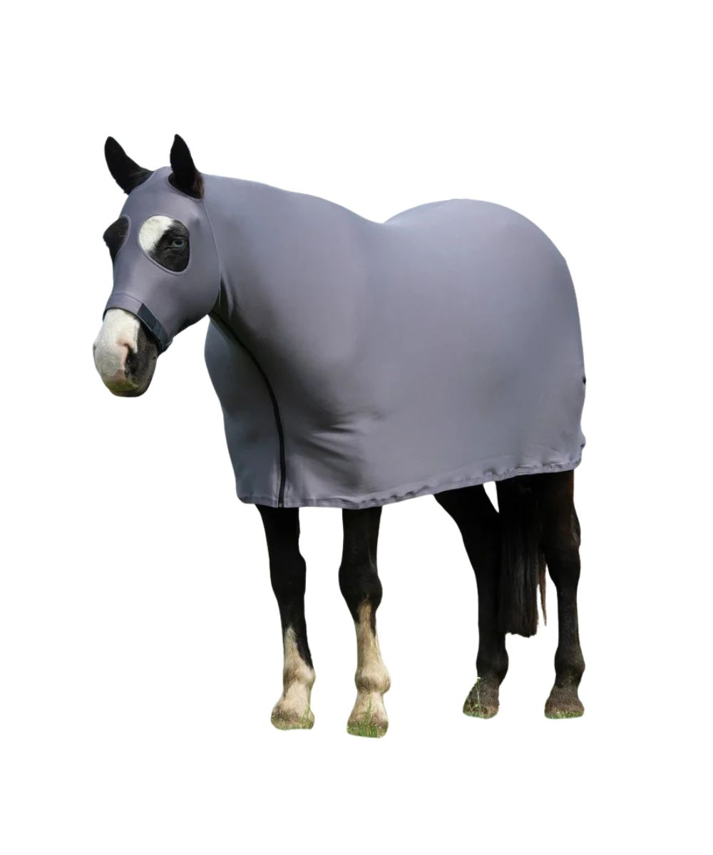 A horse wearing a gray full-body fly blanket and matching face mask, shown against a plain white background.