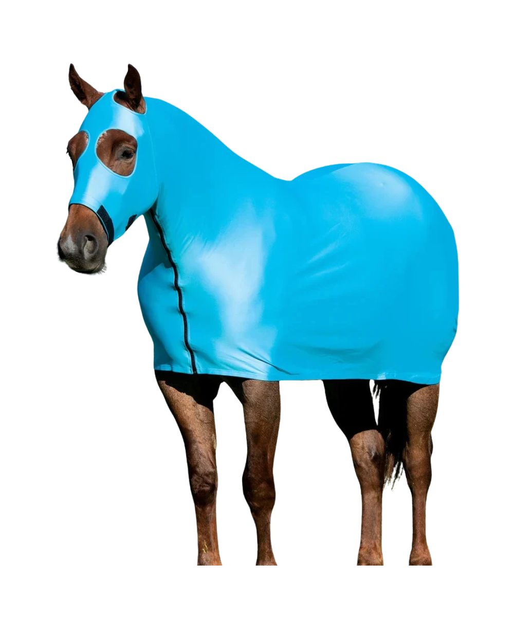 A horse wearing a bright blue full-body fly blanket and matching face mask, shown against a plain white background.