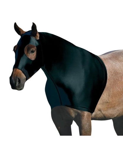 black colored lycra hood On a horse