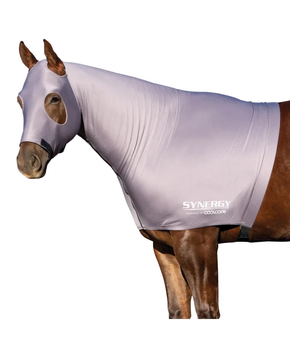 A brown horse wearing a light gray fly blanket and matching eye cover on a solid white background. The brand name 'SYNERGY' is visible on the side of the blanket.