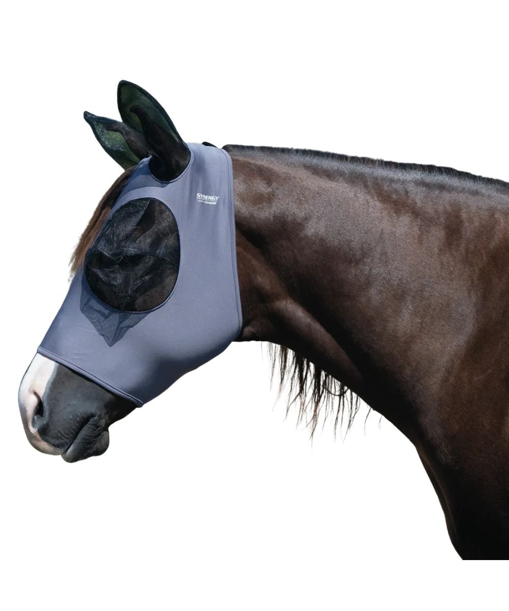 Horse model view of the Weaver equine lycra coolcore fly mask in graphite