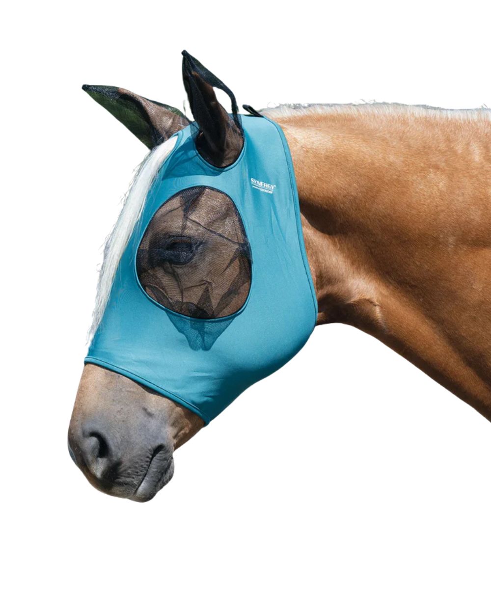 Horse model view of the Weaver equine lycra coolcore fly mask in teal