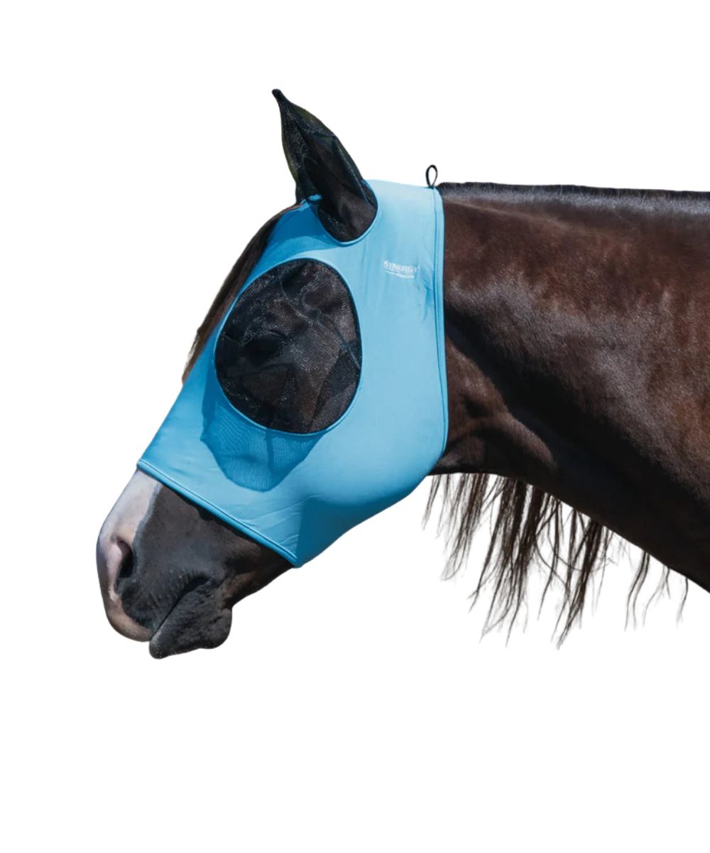 Horse model view of the Weaver equine lycra coolcore fly mask in turquoise