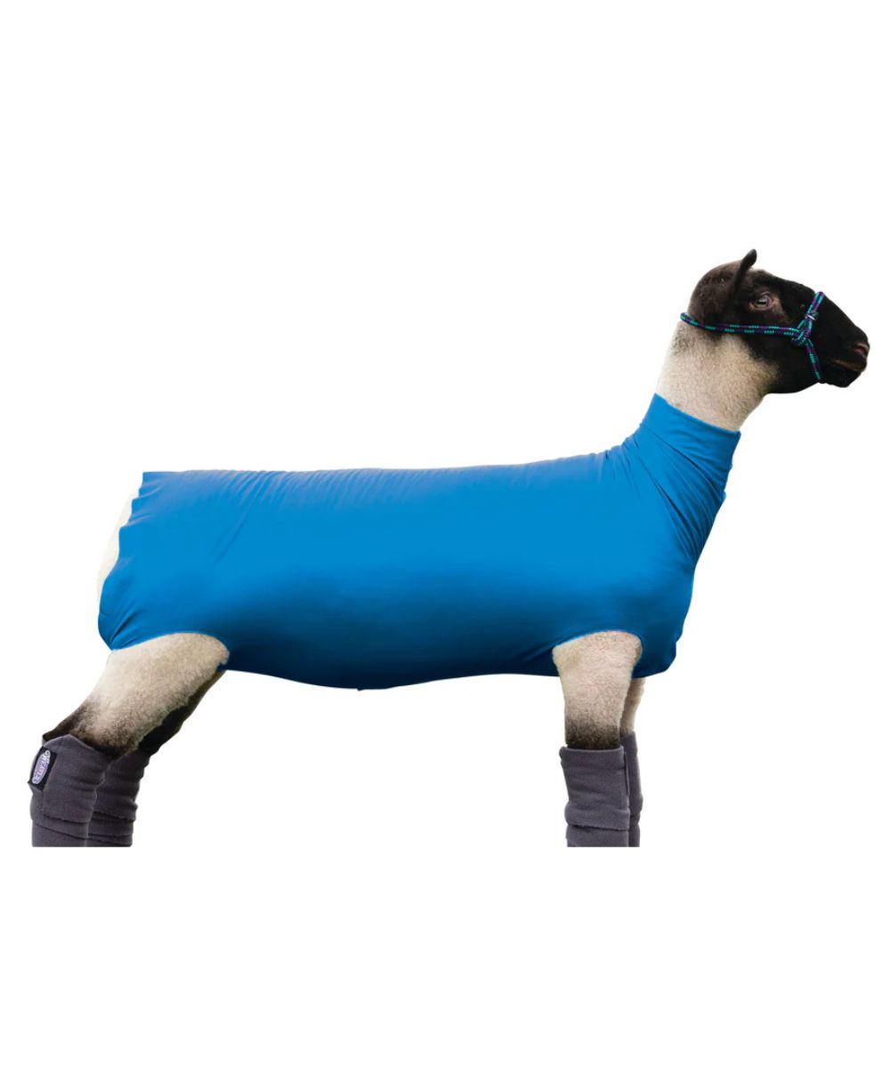 Sheep Spandex Tube In Blue