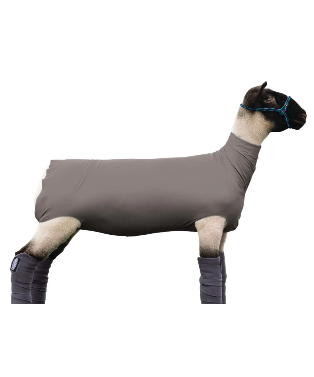 Sheep Spandex Tube In Gray