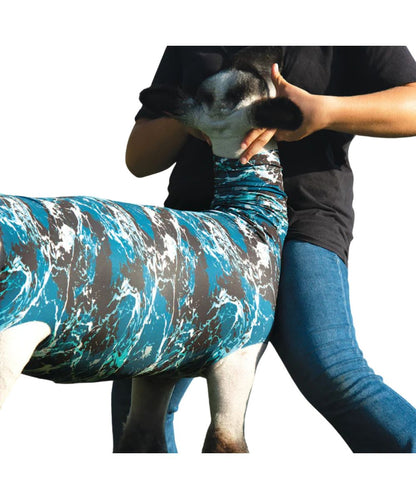 Sheep Spandex Tube In Tidal Wave