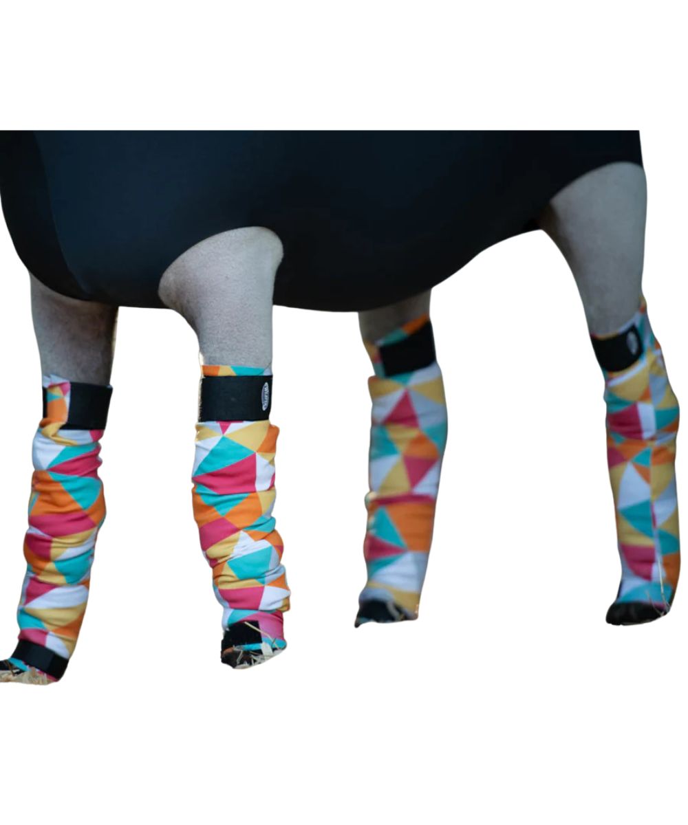 Spandex Leg Tubes On Sheep