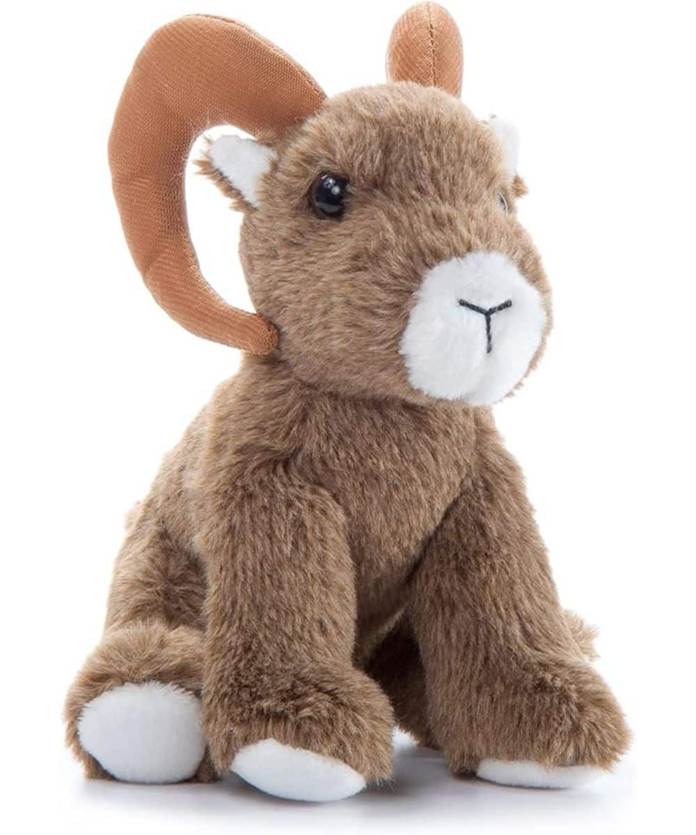 421037 ! desc :  ! caption :