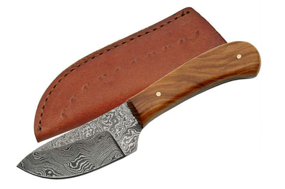 Double D Damascus Skinner Olivewood Handle Fixed Blade Knife