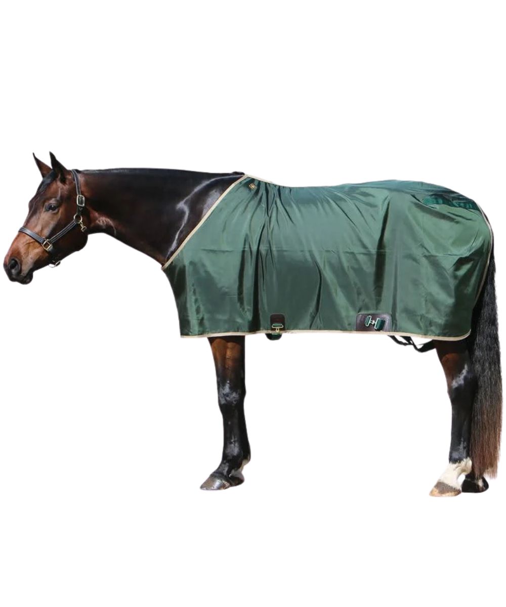 green horse sheet with beige trim on a dark brown horse