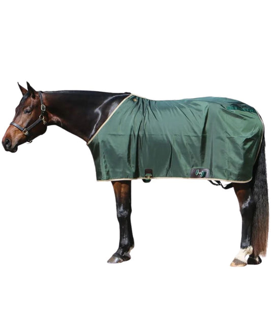 green horse sheet with beige trim on a dark brown horse