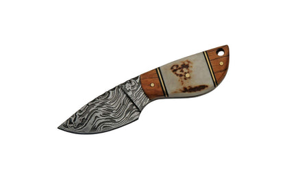 Double D Stag  Olivewood Handle Camping Knife