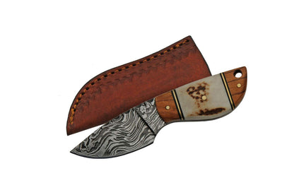 Double D Stag  Olivewood Handle Camping Knife