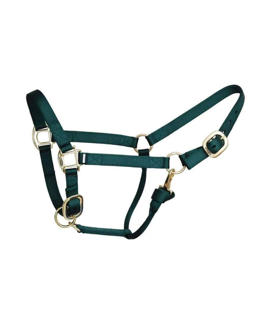 9710 PINK ! desc :  ! caption :