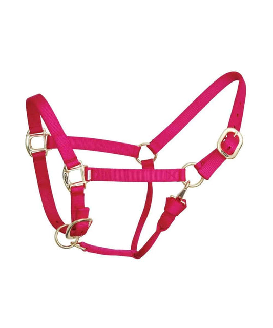 9710 PINK ! desc :  ! caption :