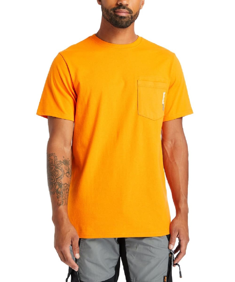 A1HNS D67 ! desc :  ! caption :