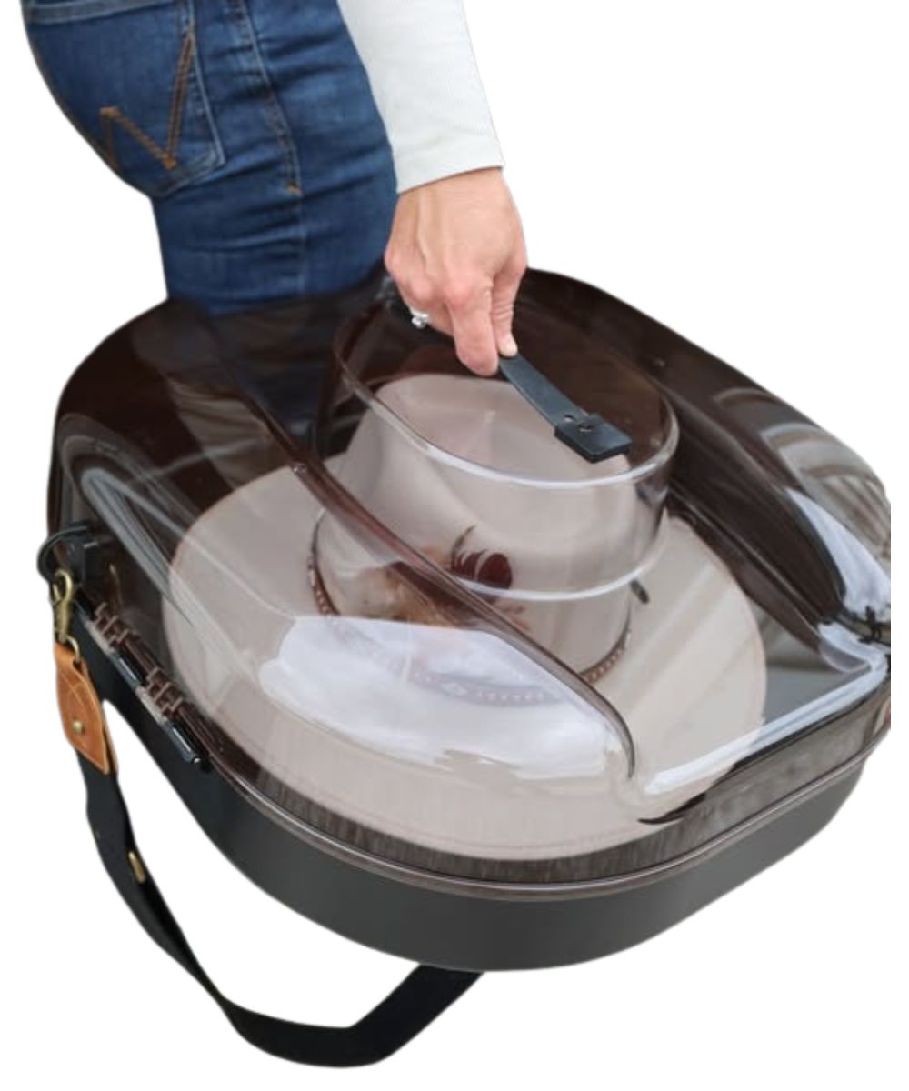 Transparent top and easy carry handle
