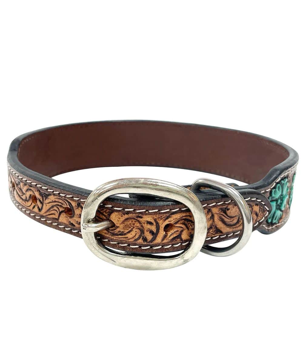 Bar H Equine Ella Young Dog Collar