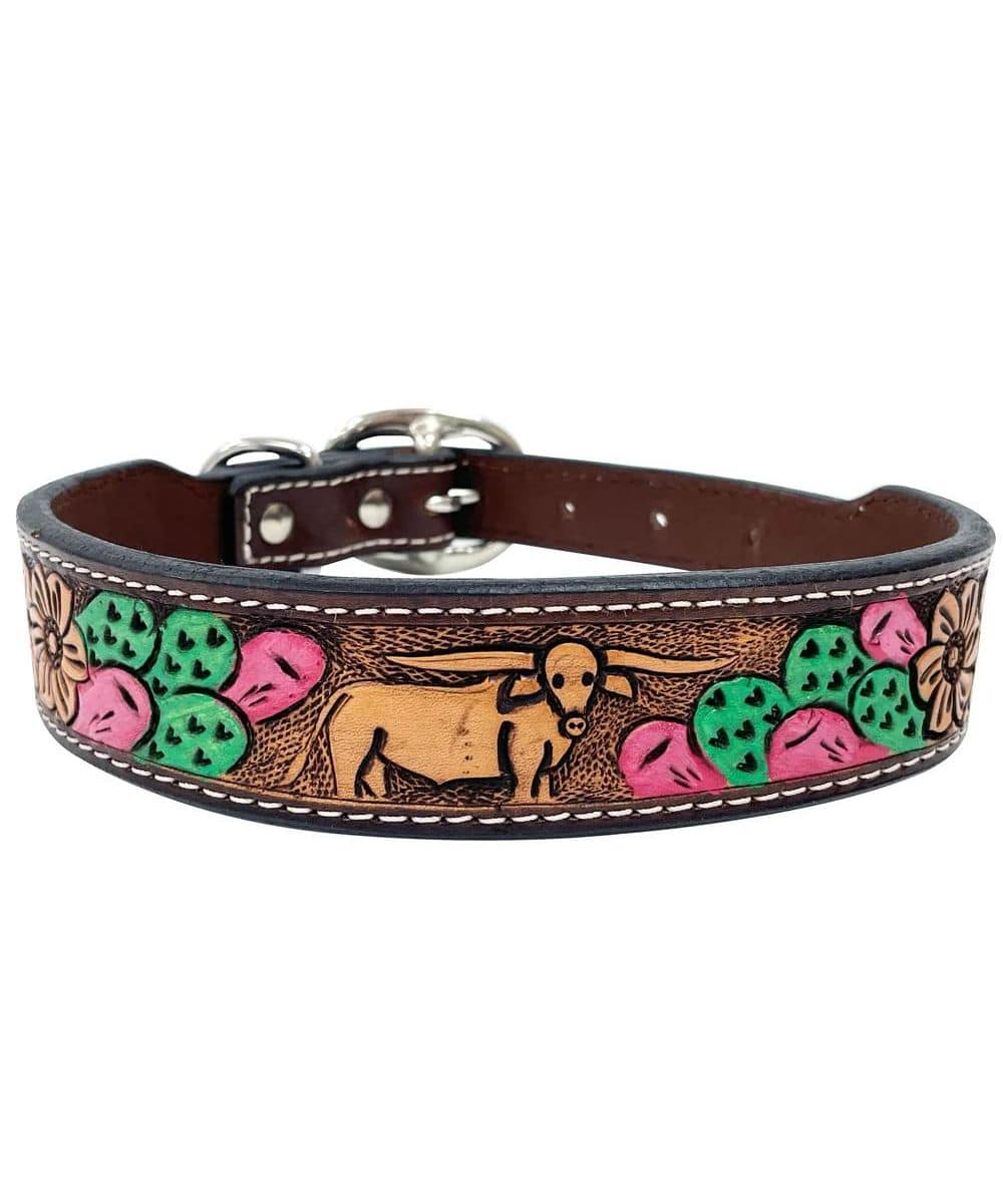 Bar H Equine Cactus Painted Dog Collar
