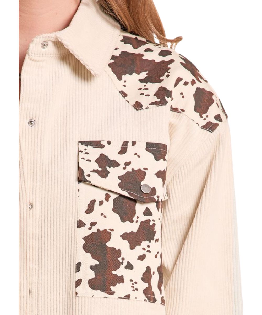 Close-up view of the women's cow printed shacket featuring the natural colored corduroy construction, snap closure, single point front yokes, snap flap chest pockets, spread collar, and the brown and white cow print color blocked chest pockets and yokes