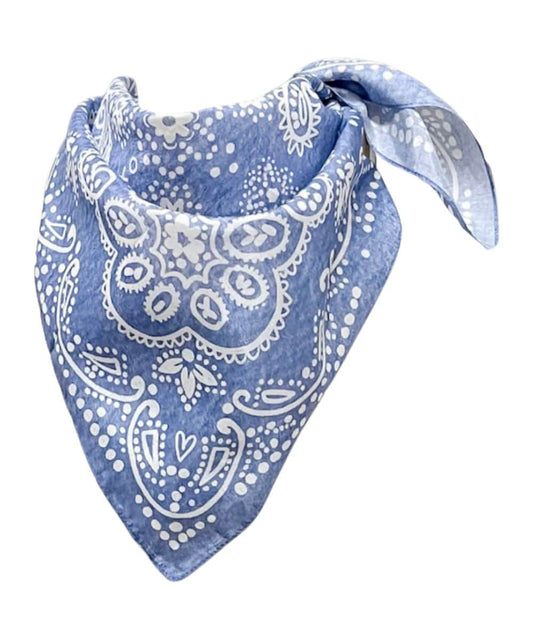 COWBOY BLUES SHORTY-a ! desc :  ! caption :