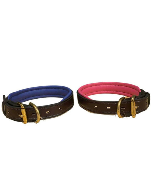 Hilltop Tack Small Padded Dog Collar