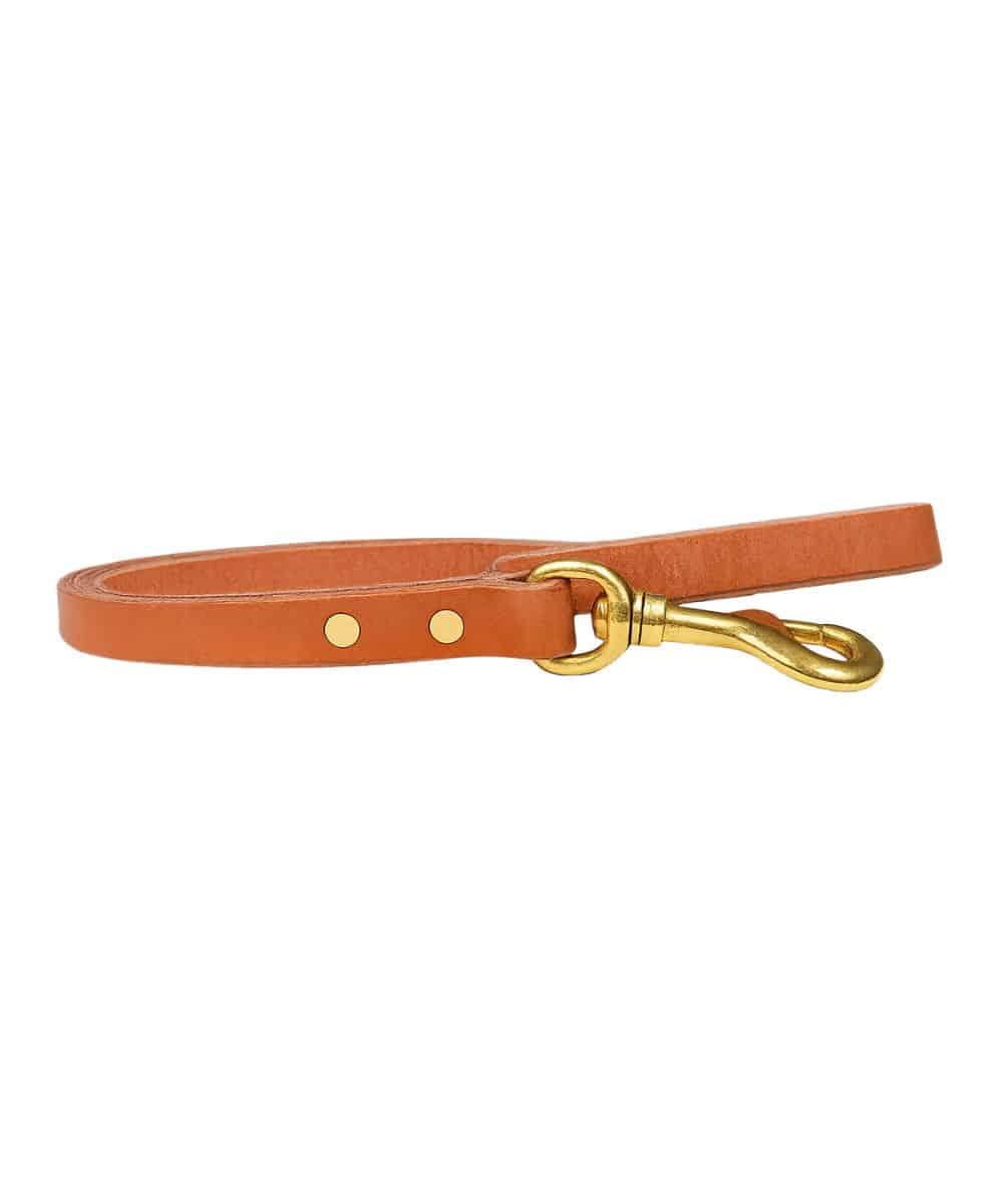 San Saba 4' Harness Dog Leash - Cowpokes Work and Western