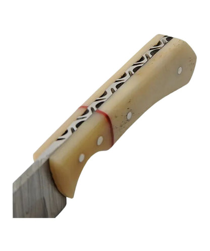 Side view of the smooth bleached bone handle