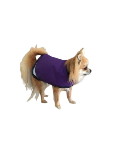 DOGBLANKET-LARGE ! desc :  ! caption :