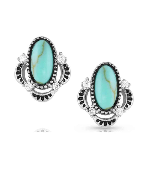 Montana Silversmiths Women's Turquoise Treasure Earrings