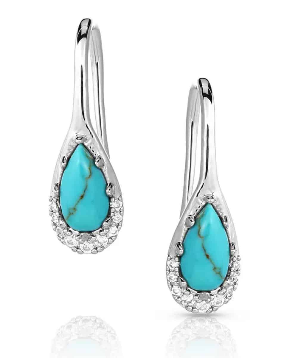 Montana Silversmiths Women's Southwest Serenade Earrings