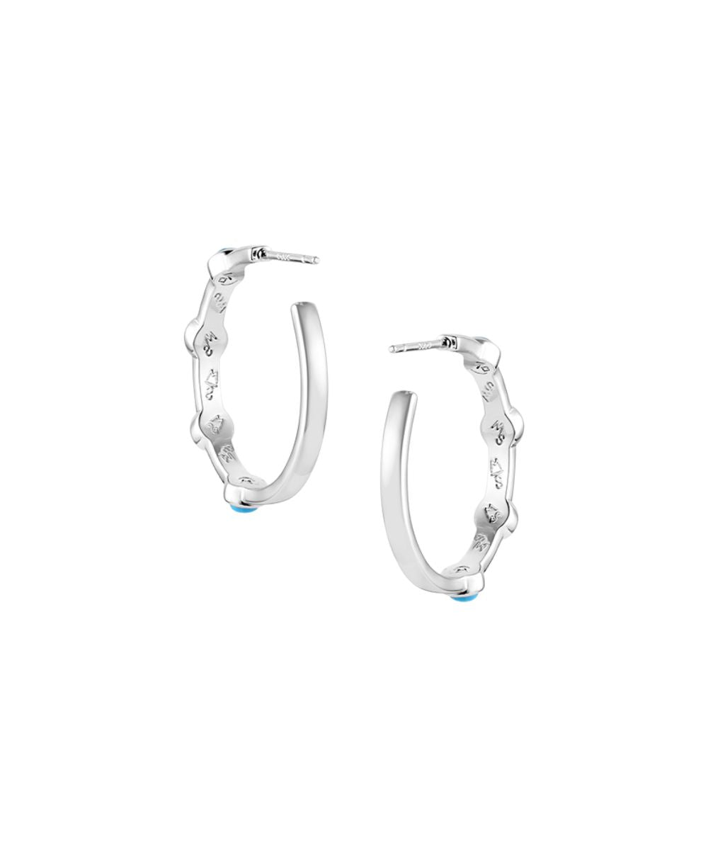 Stainless Steel Post Back Wires