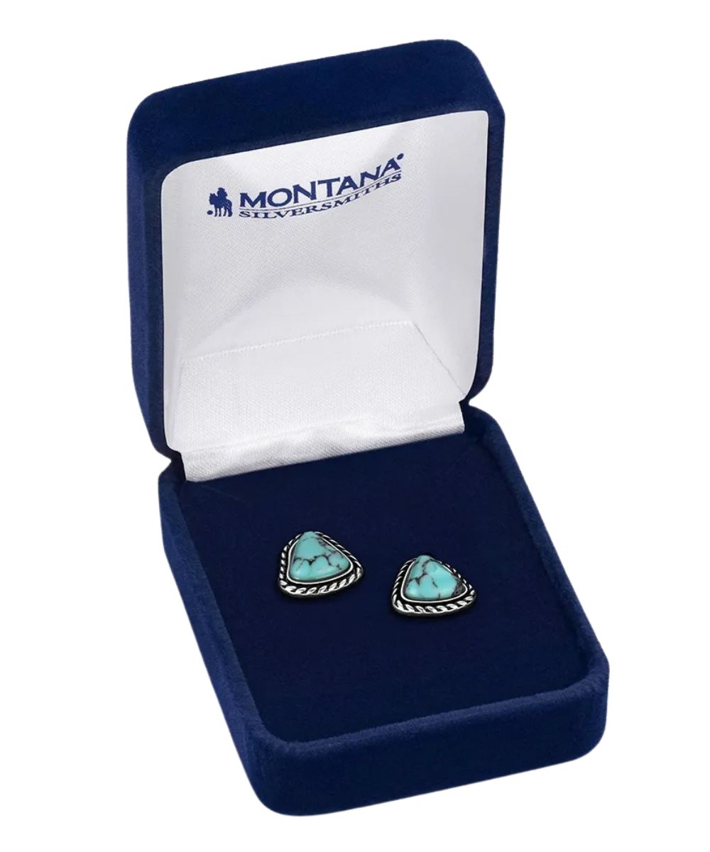 Boxed view of the women's dakota skies post earrings