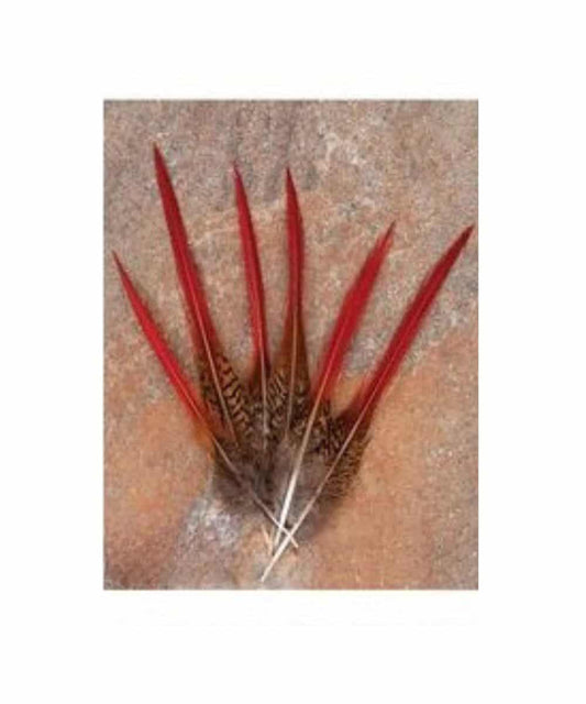 F-54 ! desc :  ! caption :