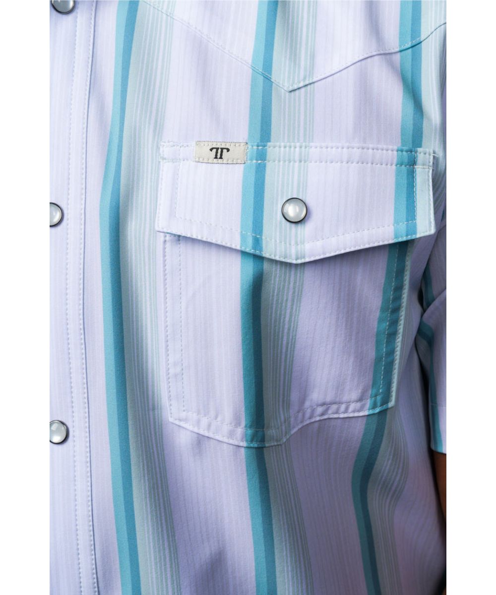 Close-up view of the grey green striped print