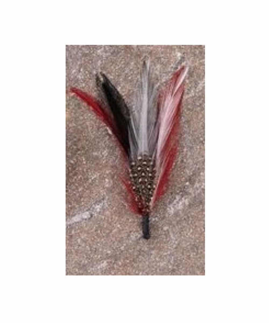 FS-04-3 ! desc :  ! caption :