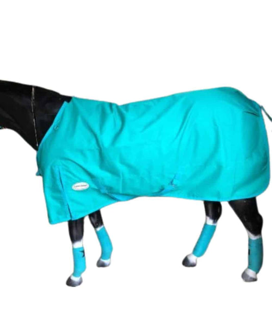 HORSEWINTER-teal ! desc :  ! caption :