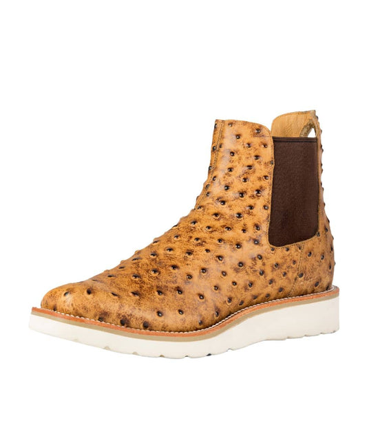 HP2201-a ! desc :  ! caption :