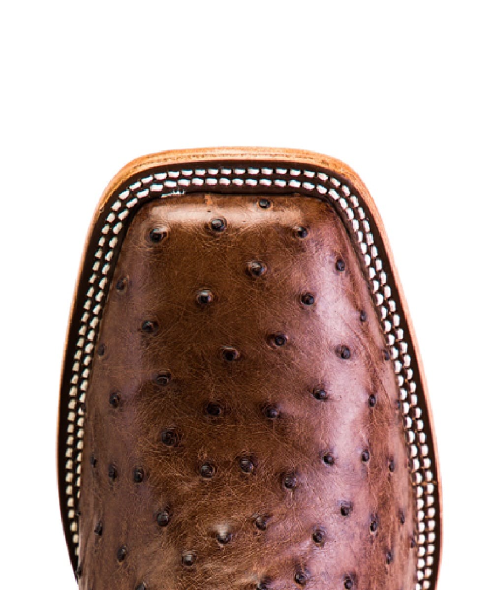 HP8001 ! desc :  ! caption :