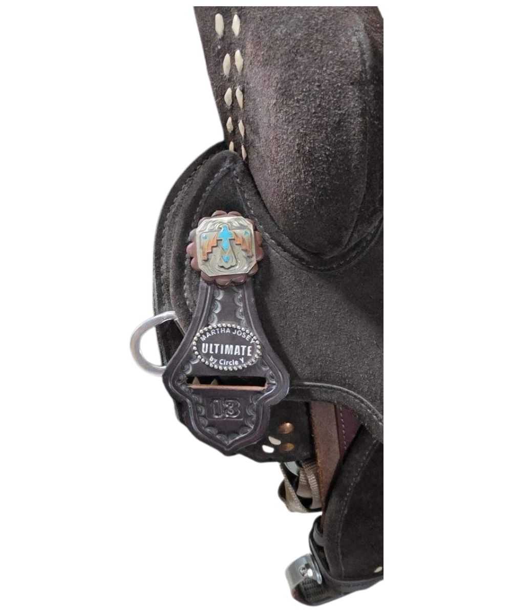 Close-up view of the thunderbird conchos