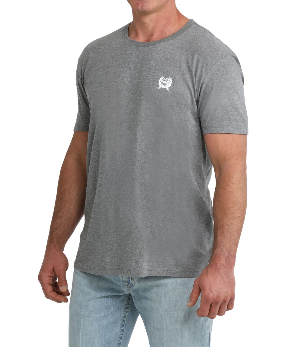 Front view of the men's gray graphic tee with a small logo screen print on the chest