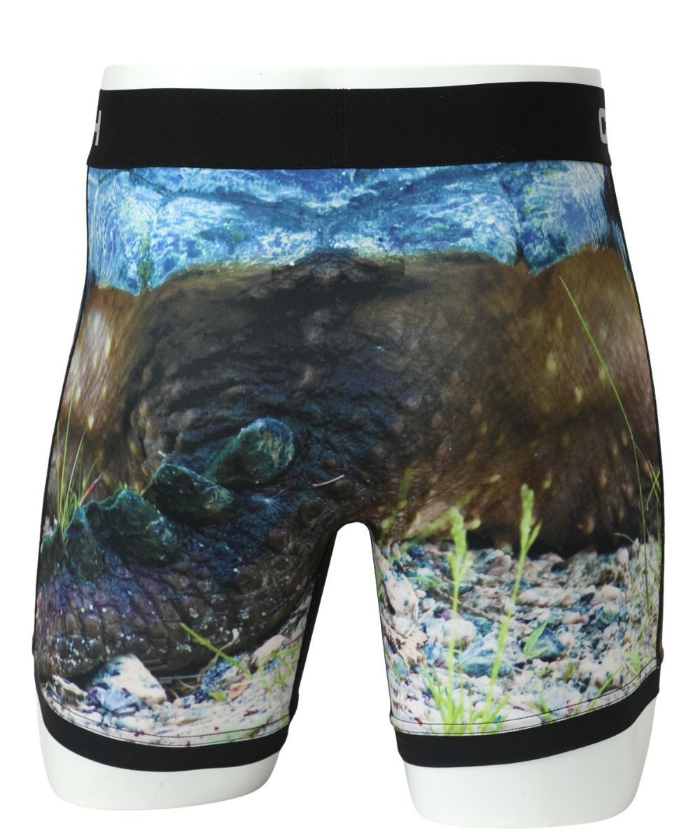 Back view of the 6" men's turtle boxer brief