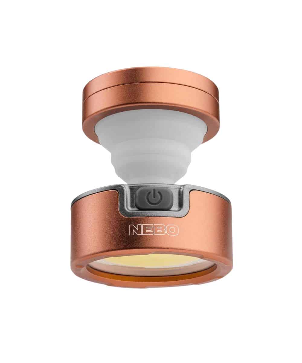 NEB-LTN-0015-a ! desc :  ! caption :