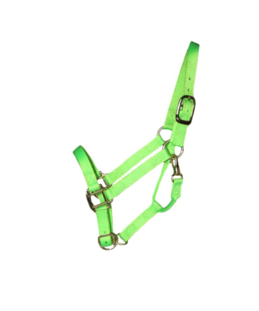 NY-130B ! desc :  ! caption :