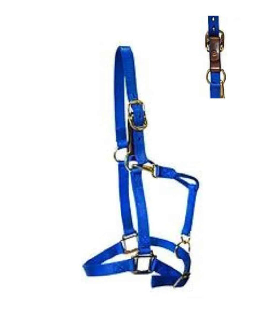 NY-240B ! desc :  ! caption :