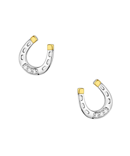 Montana Silversmiths Women's Lucky Harmony Earrings