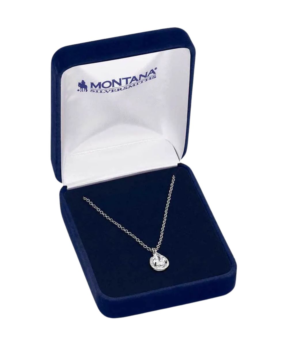 Women's Silver Horseshoe Necklace In Jewelry Box