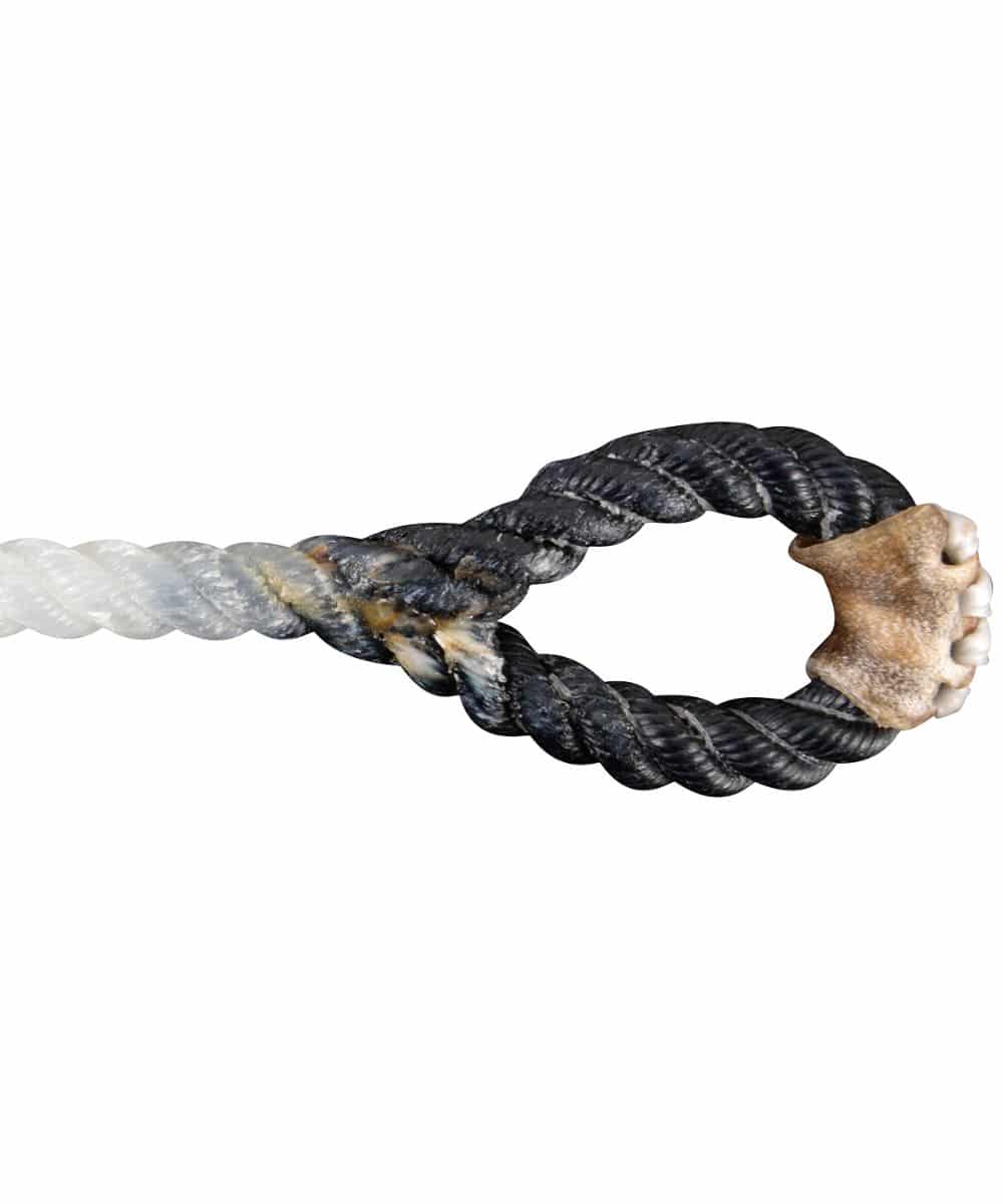 RCS-BLA ! desc :  ! caption :